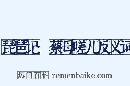 琵琶记·蔡母嗟儿反义词是什么意思的图片